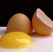 Egg%20and%20Shell.jpg