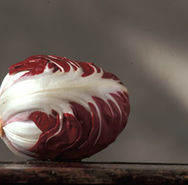 Radicchio%20Rosso%20di%20Verona.jpg